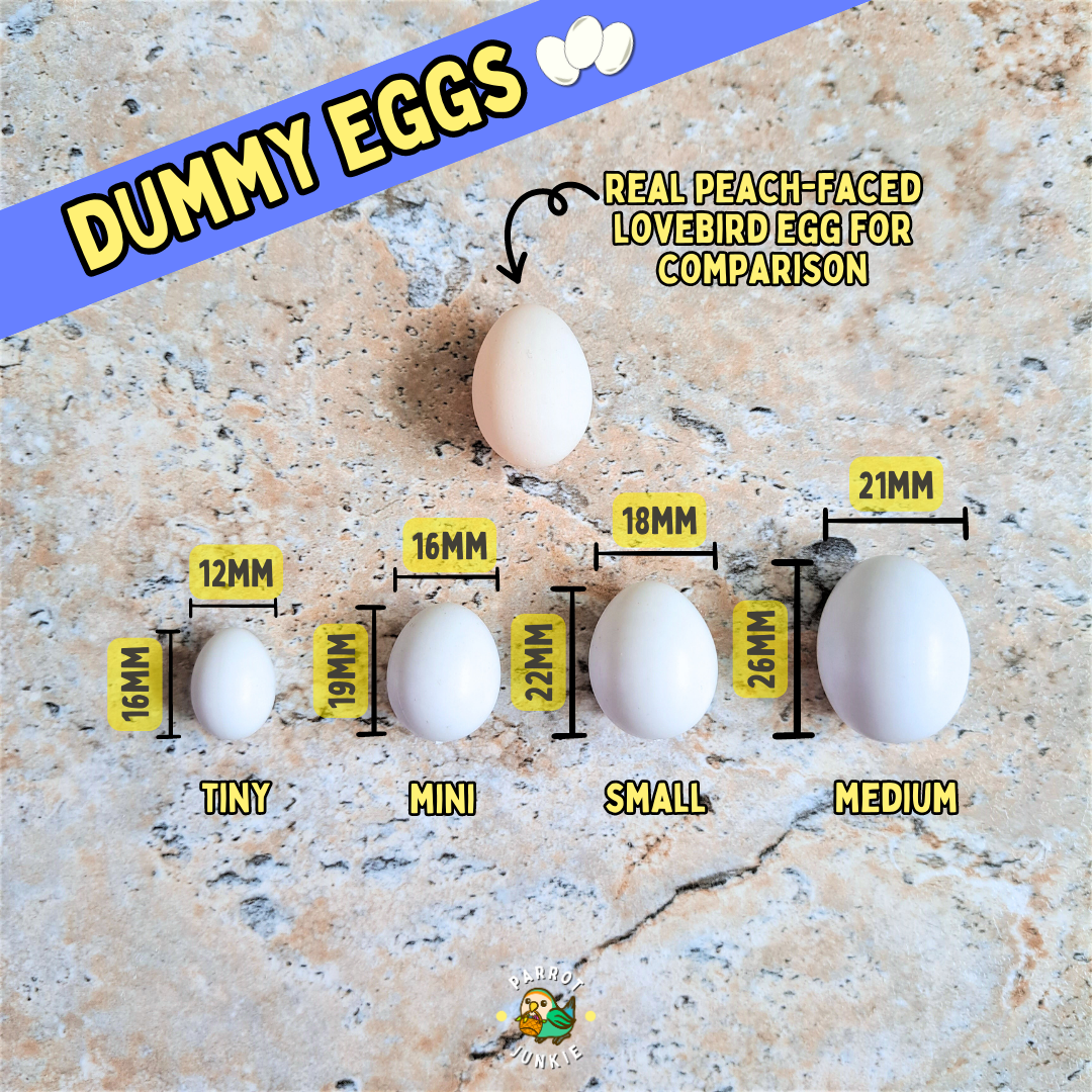 Dummy Eggs - for breeding control