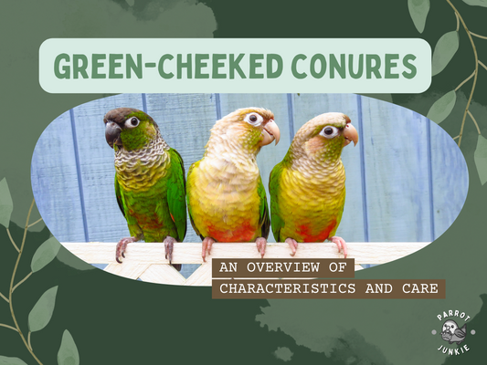 Green-cheeked Conures - An Overview of Characteristics and Care
