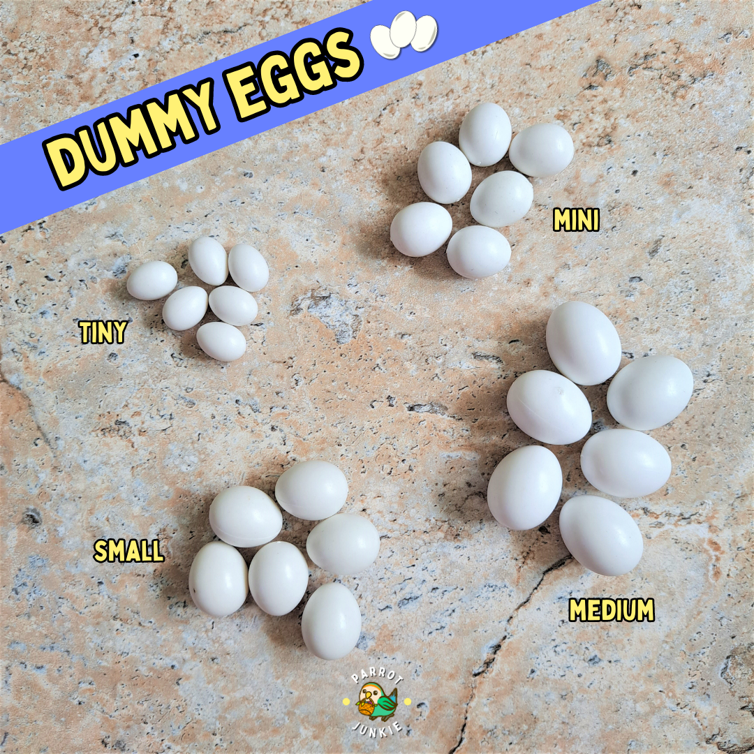 Dummy Eggs - for breeding control