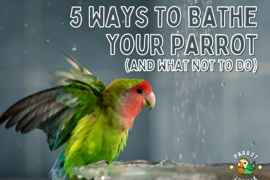 Parrot bathing