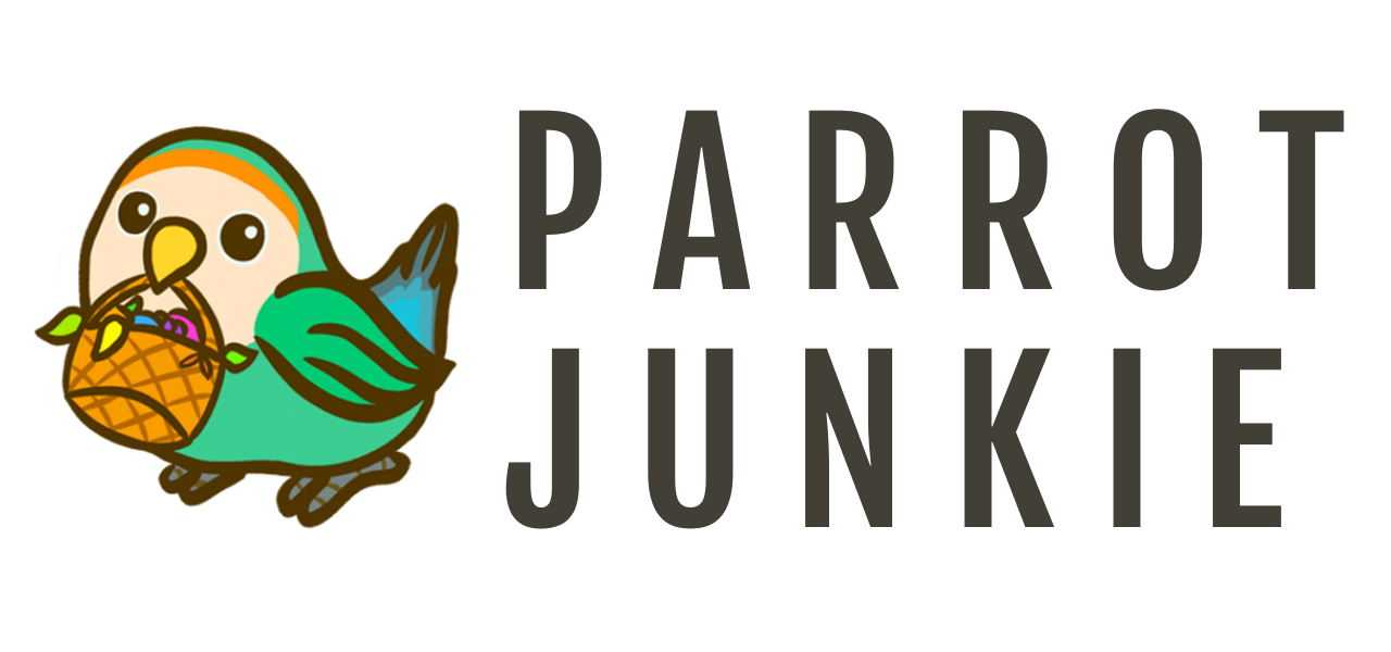 Parrot Junkie