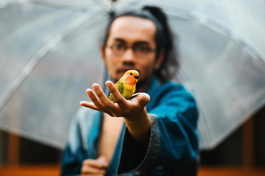 Person holding a parrot